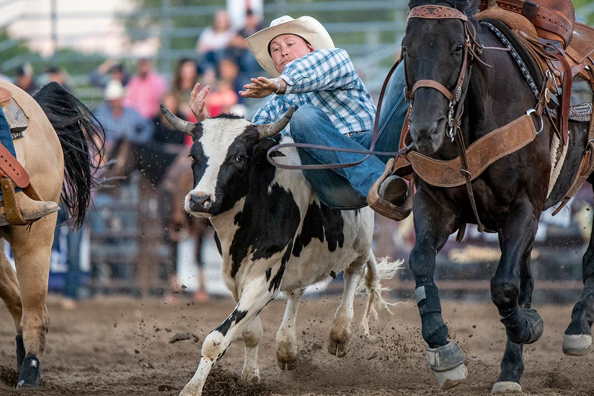 Western Stampede West Jordan City