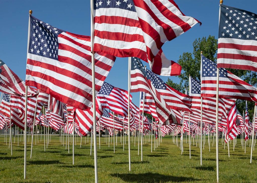 rows of US flags