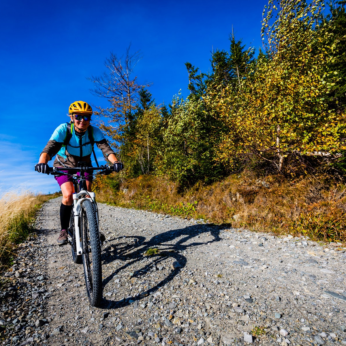 A cyclist wearing a helmet and sunglasses rides on a gravel path flanked by trees with autumn leaves, under a clear blue sky. The vibrant colors of the foliage and the bright sunlight highlight the outdoor setting.