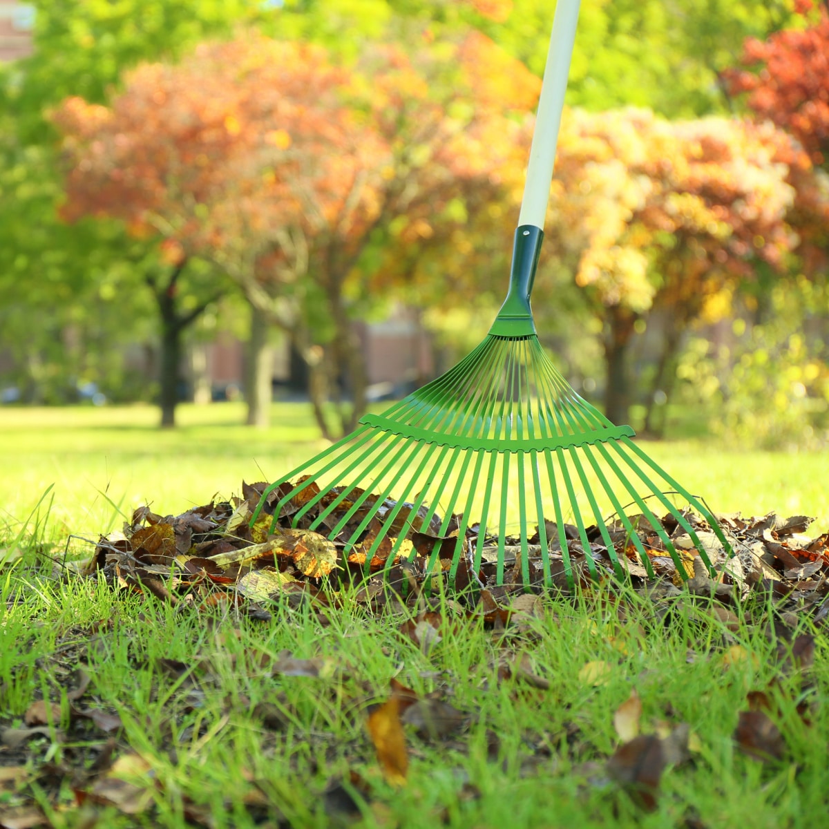 Fall Yard Checklist – Deadlines and Dates You Need to Know