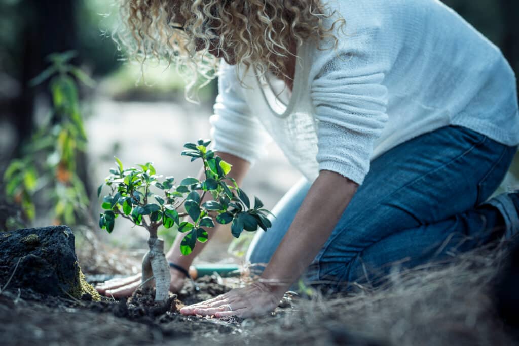 A person with curly hair wearing a white sweater and jeans kneels in a forest while planting a small tree in the ground. The scene is surrounded by blurred greenery, with sunlight filtering through the trees.