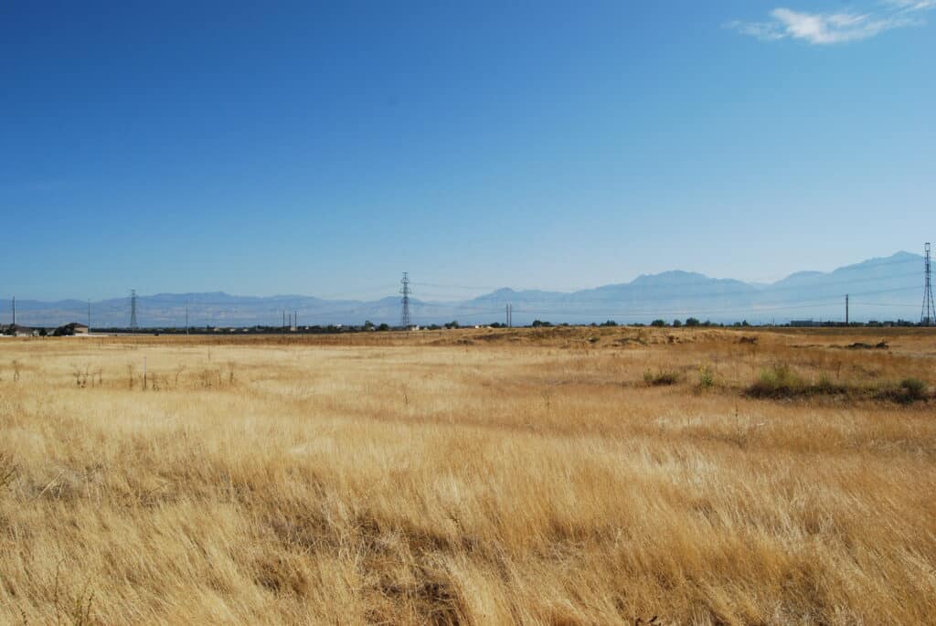 A vast field of dry, golden grass under a clear blue sky. Distant mountains and transmission towers are visible on the horizon. The landscape suggests an open, rural area.