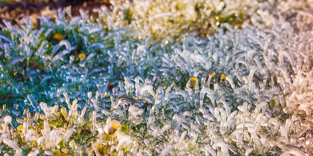 Preparing your Home and Yard for a Hard Freeze