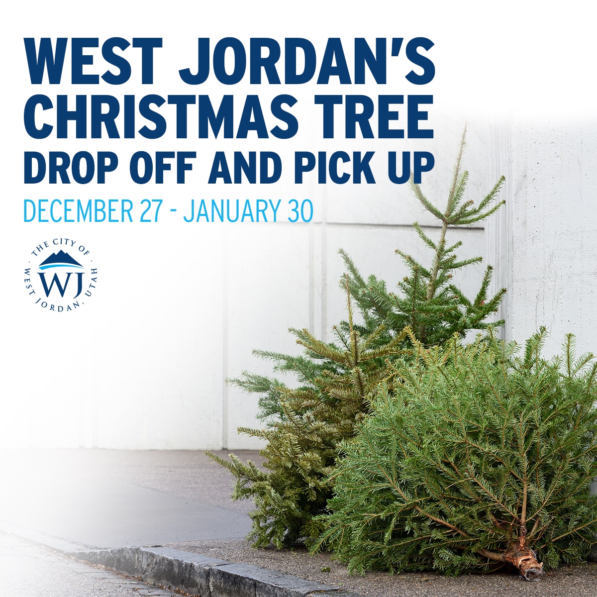 Christmas Tree Pickup and Drop off Program 2023