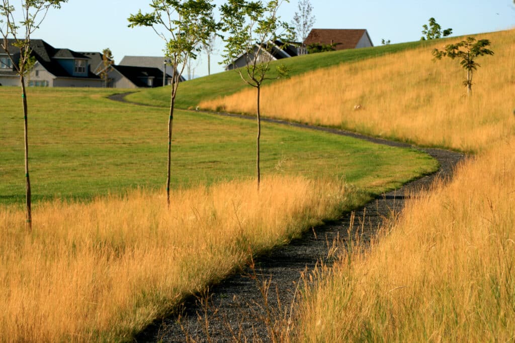 Picture of a scenic trail cutting between a golden field and manicured lawn