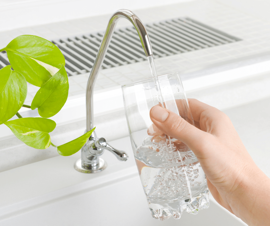 A hand holds a clear glass under a modern faucet, filling it with water. There is a green plant in the background, by the sink.