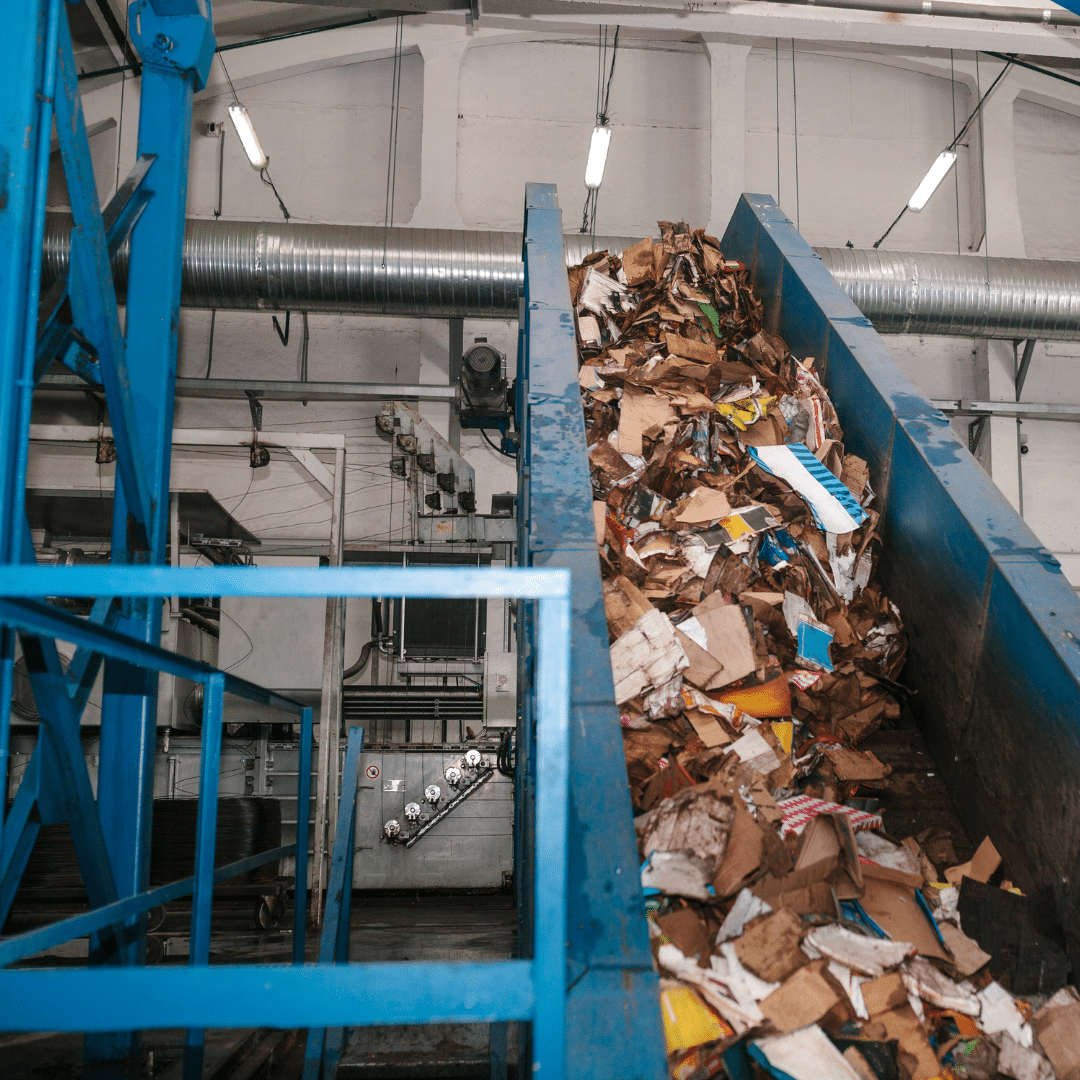A conveyor belt inside a recycling facility transports a large pile of assorted cardboard and paper products for processing. The industrial setting features metal ducts and machinery in the background.