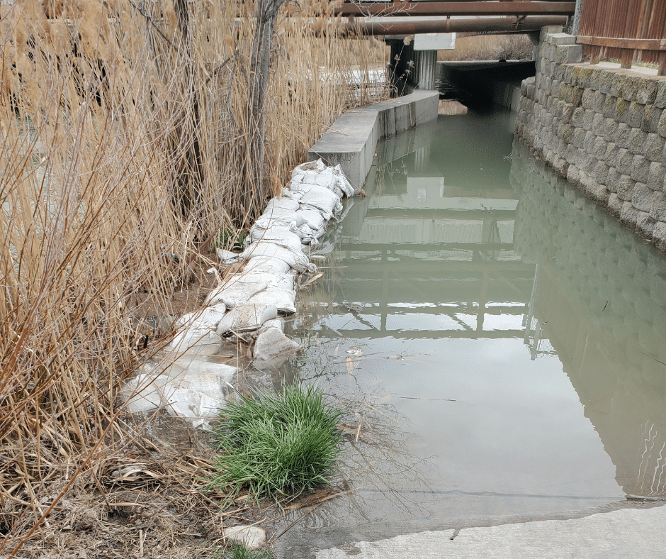 A narrow canal lined with sandbags runs under a bridge. Tall grasses grow along the edges, and the water is calm. A stone wall borders one side of the canal.