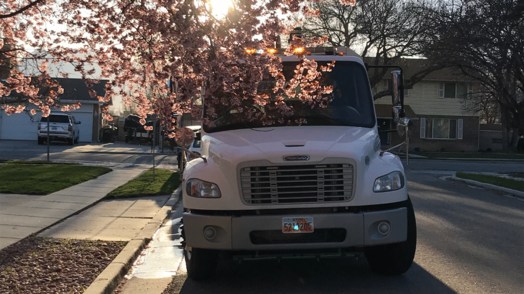 Low-hanging tree blocks WJ street sweeper