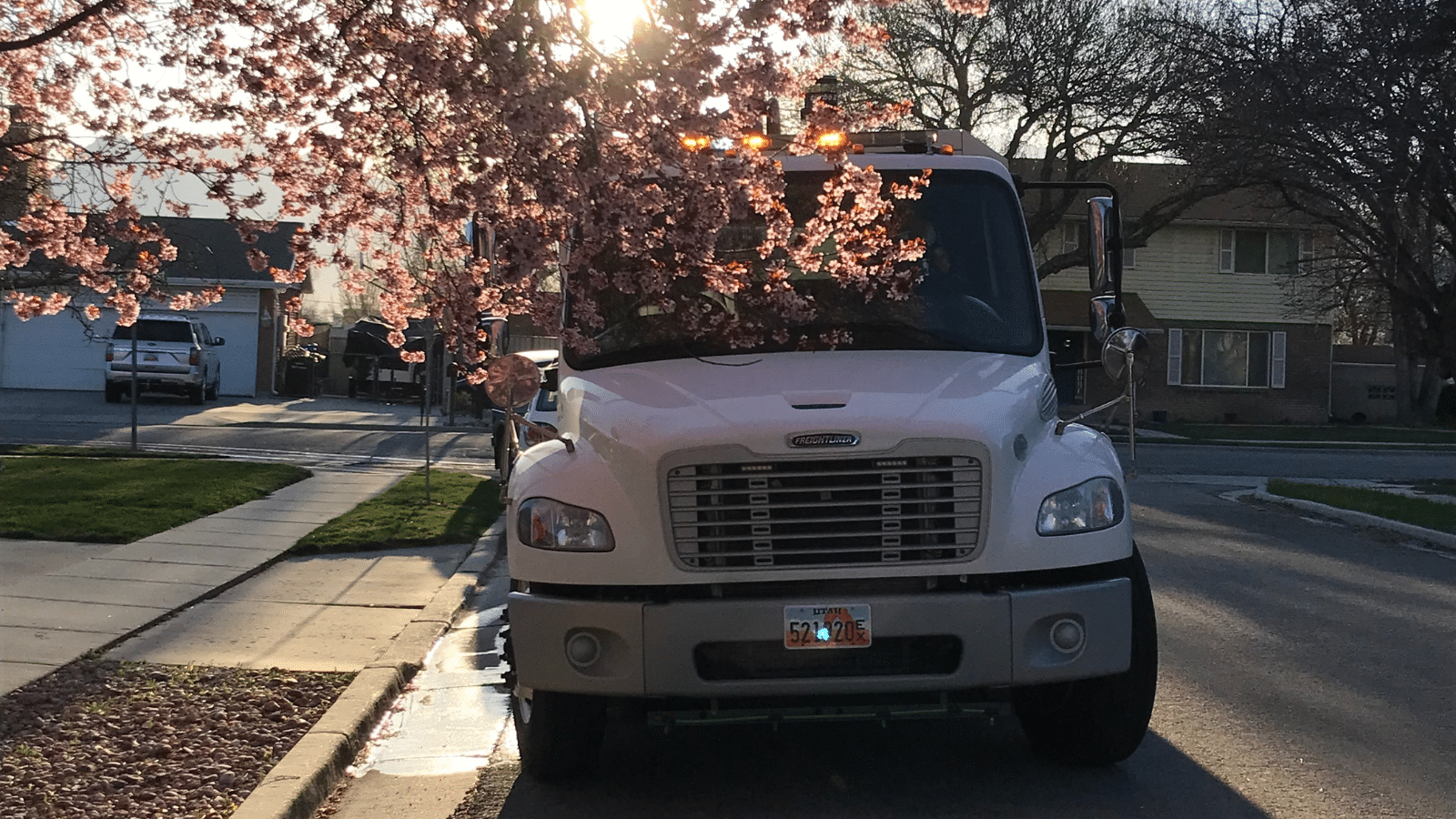 A white truck is parked on a suburban street bordered by blossoming trees, with sunlight filtering through the branches. A house with a green lawn is visible in the background.