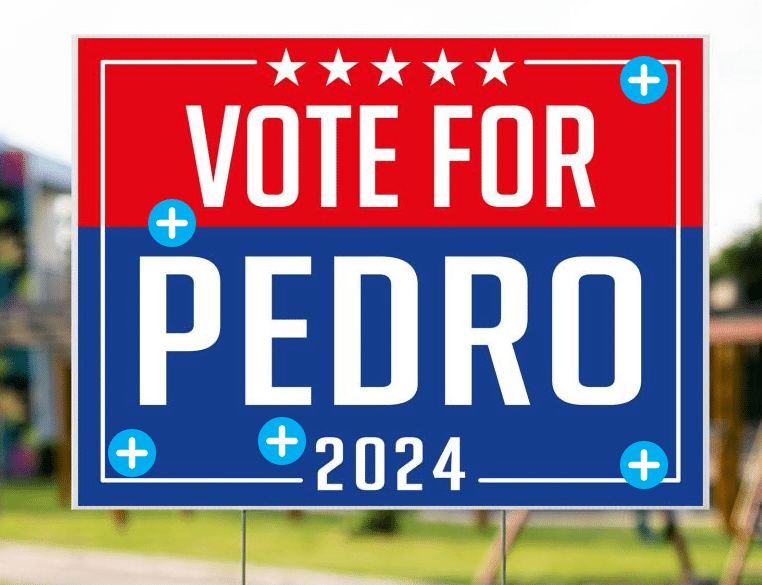 A red, white, and blue yard sign reads “Vote For Pedro 2024” in bold letters, with five stars above the text. The sign is staked into grass, with a blurred outdoor background.