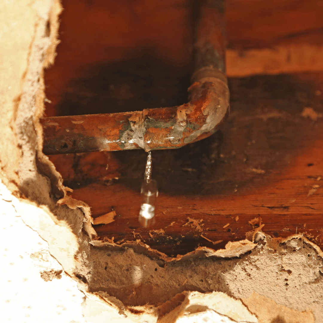 Watch Out for Sneaky Leaks!