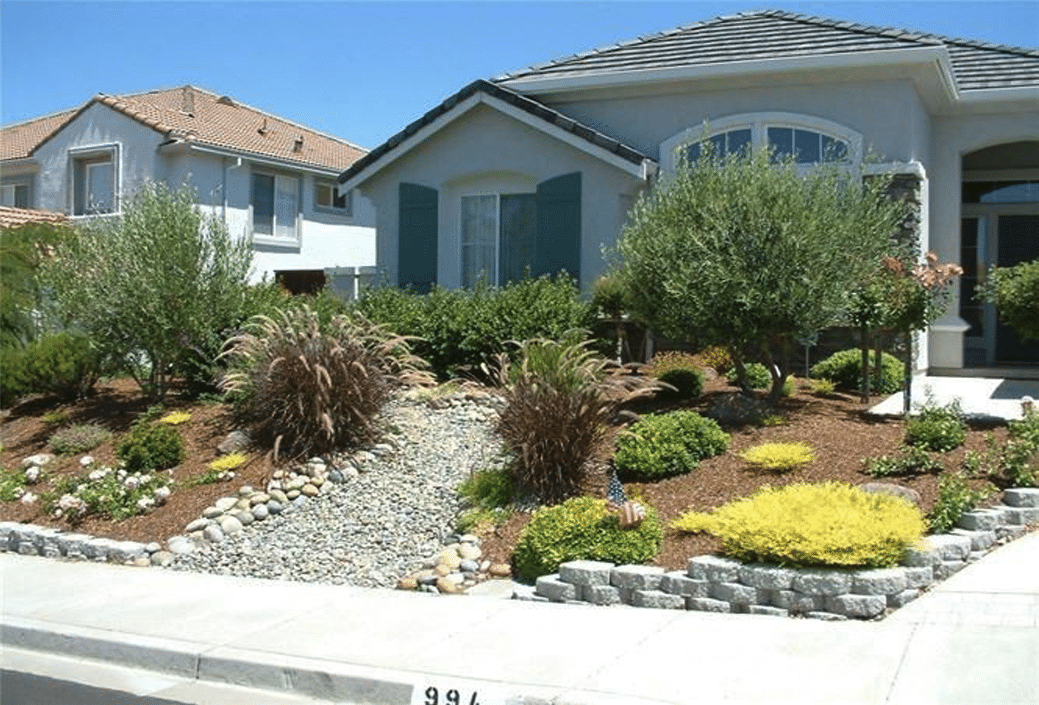 A front yard with drought-tolerant landscaping featuring gravel, rocks, small bushes, grasses, and shrubs bordered by a low stone wall in front of a light-colored house with blue shutters.