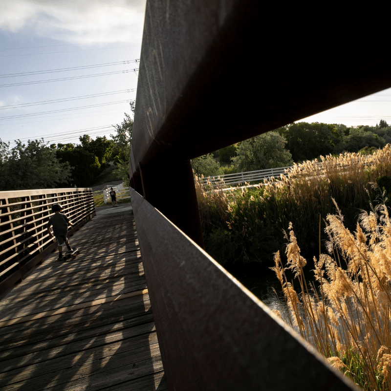 A child rides a scooter across a wooden bridge with tall grasses and sunlight on the right, and trees and power lines in the background.